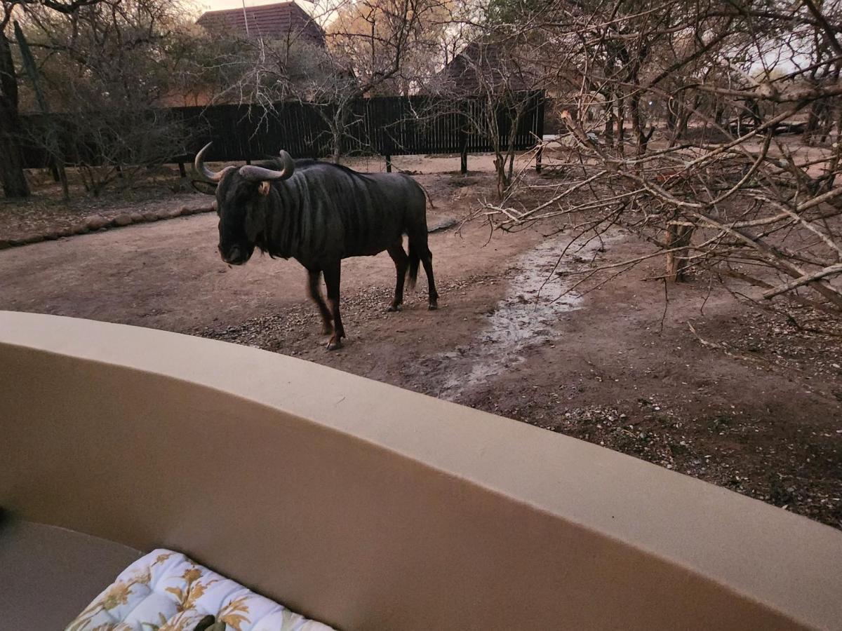 Kudus Crest Bush Retreat Leilighet Marloth Park Eksteriør bilde