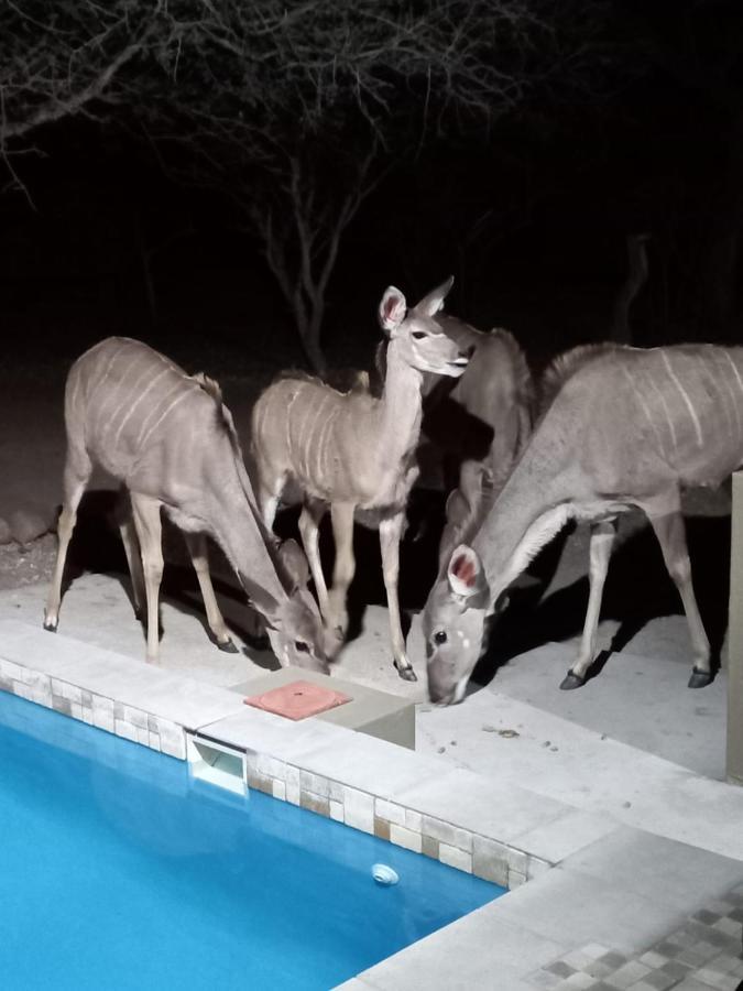 Kudus Crest Bush Retreat Leilighet Marloth Park Eksteriør bilde